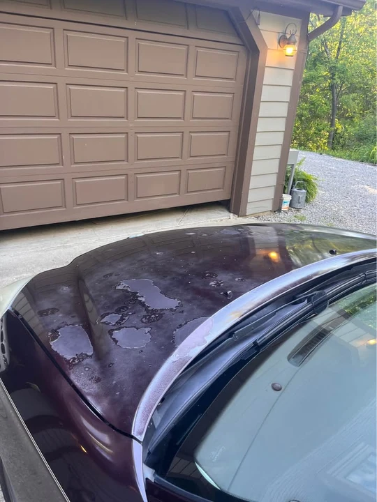 2005 Lexus ES 4th Gen - Image 11 of 11