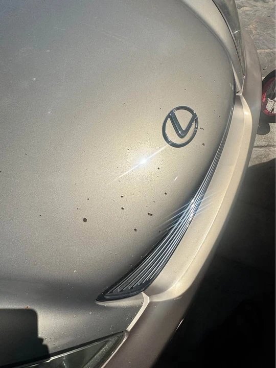 2005 Lexus ES 4th Gen - Image 9 of 10