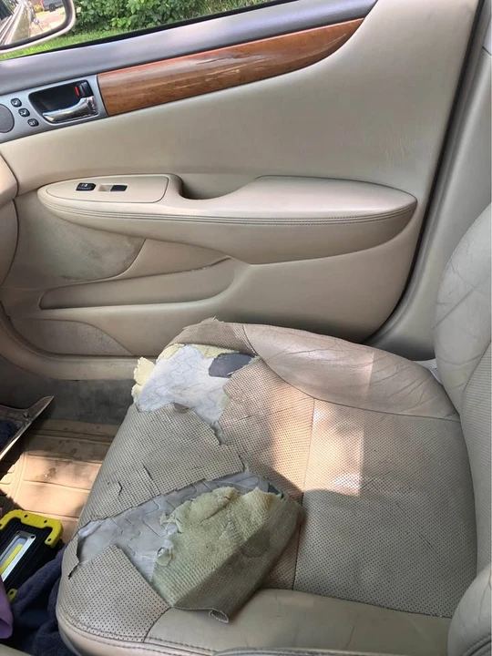 2005 Lexus ES 4th Gen - Image 7 of 12