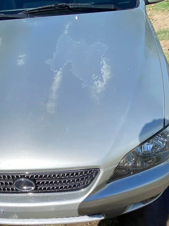 2005 Lexus IS 1st Gen - Image 10 of 12