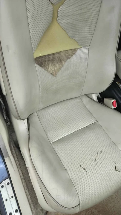 2005 Lexus IS 1st Gen - Image 20 of 20