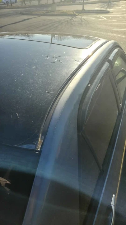 2005 Lexus IS 1st Gen - Image 11 of 20