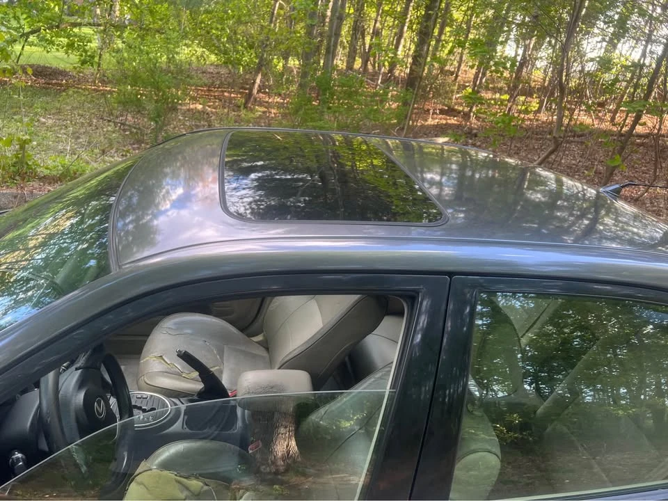 2005 Lexus IS 1st Gen - Image 12 of 12