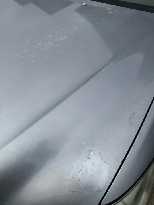 2005 Lexus LS 3rd Gen - Image 5 of 8