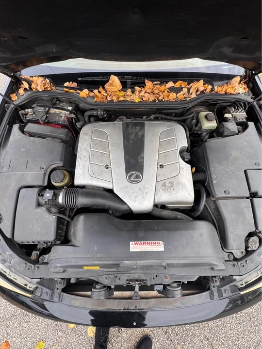 2005 Lexus LS 3rd Gen - Image 11 of 18