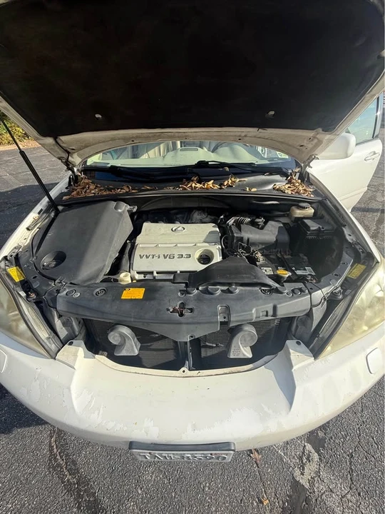 2005 Lexus RX 2nd Gen - Image 12 of 13