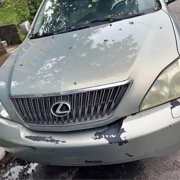 2005 Lexus RX 330 Sport Utility 4D