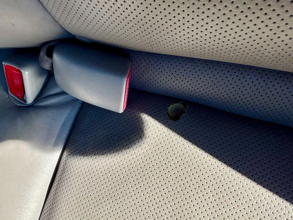 2005 Lexus ES 4th Gen - Image 12 of 20