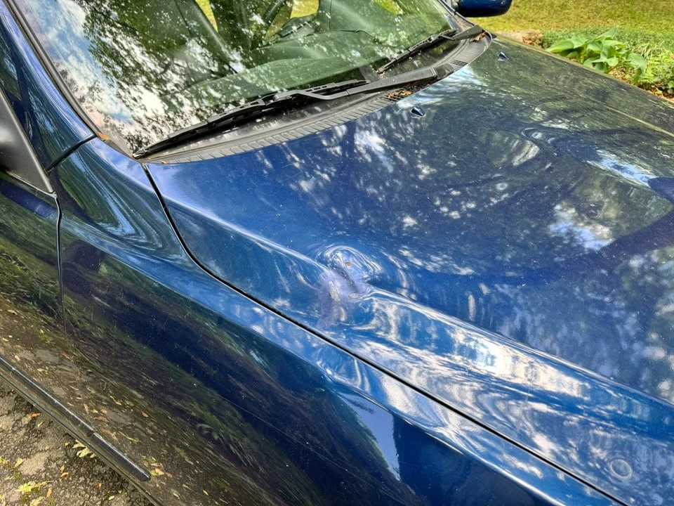 2005 Lexus IS 1st Gen - Image 6 of 12