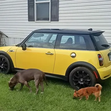 2005 MINI Cooper S
