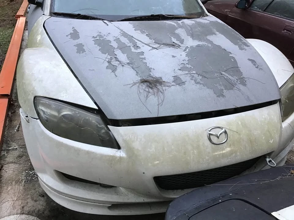 2005 Mazda RX-8 1st Gen - Image 4 of 9