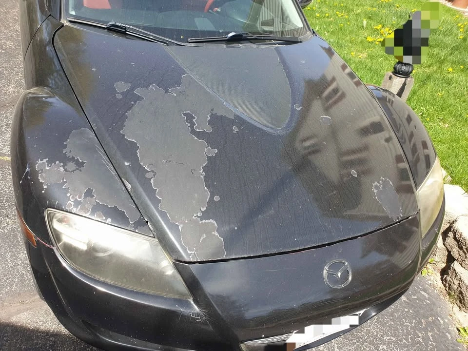 2005 Mazda RX-8 1st Gen - Image 16 of 16