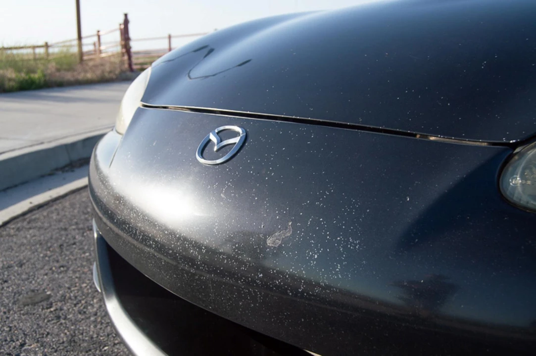 2005 Mazda NB Mazdaspeed MX-5 Miata - Image 18 of 21