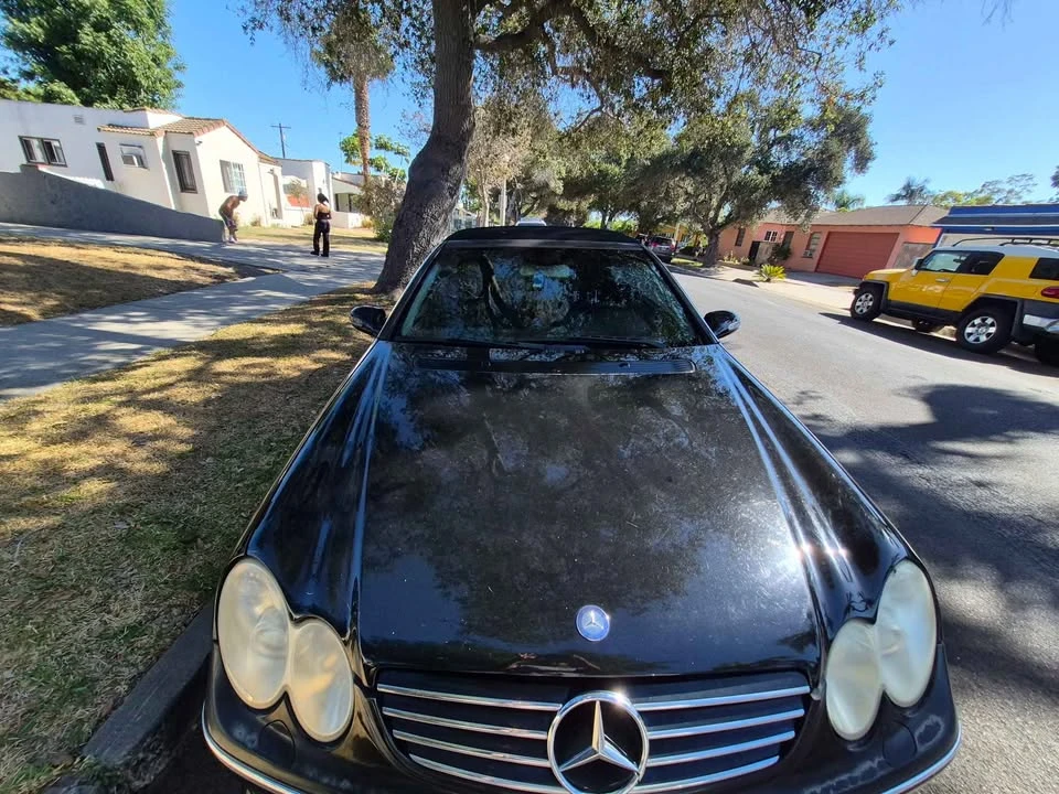 2005 Mercedes-Benz W220 S-Class - Image 2 of 4