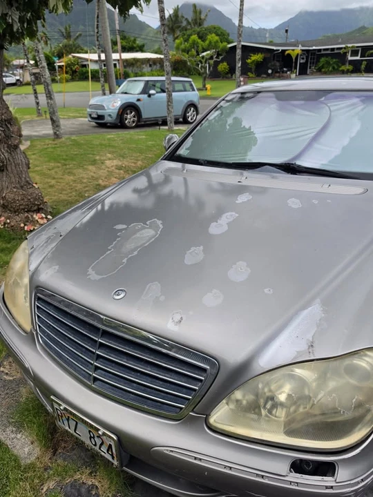 2005 Mercedes-Benz W220 S-Class - Image 2 of 4