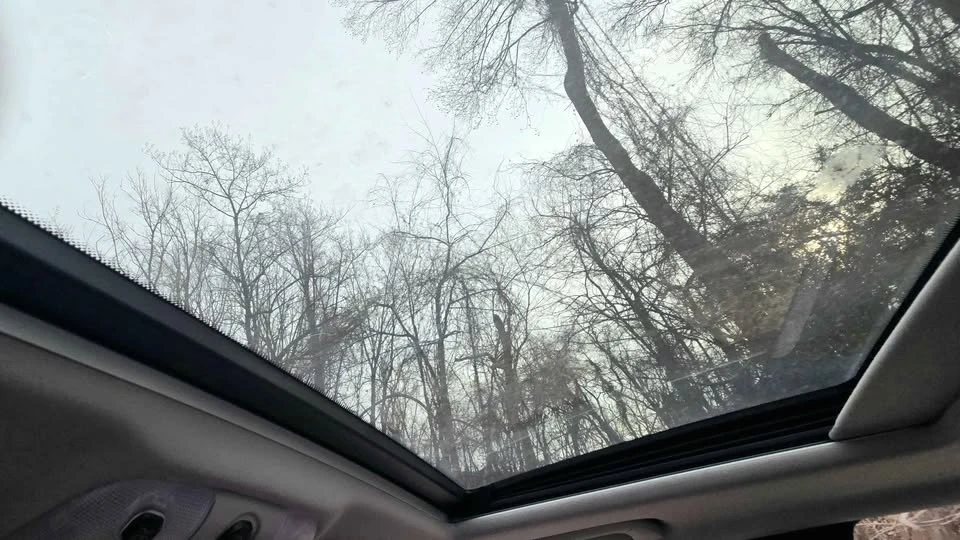 2005 Mercedes-Benz W220 S-Class - Image 14 of 20