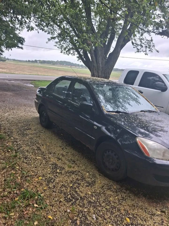 2005 Mitsubishi Lancer 8th Gen - Image 2 of 4