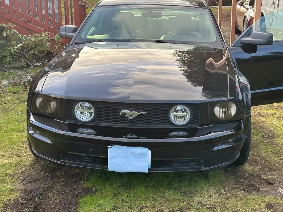 2005 Ford S197 Mustang - Image 8 of 8