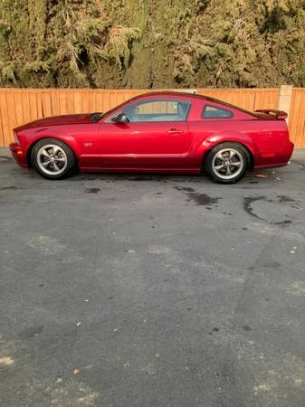 2005 Ford S197 Mustang - Image 11 of 14