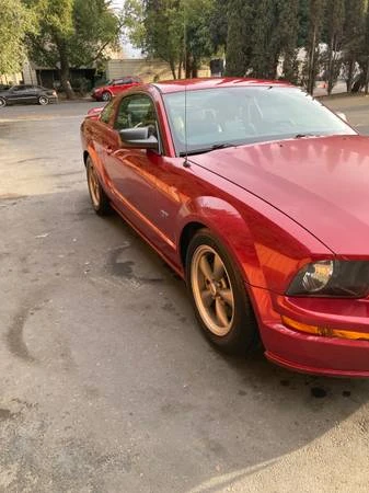 2005 Ford S197 Mustang - Image 14 of 14