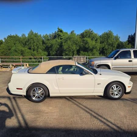 2005 Ford S197 Mustang - Image 6 of 9