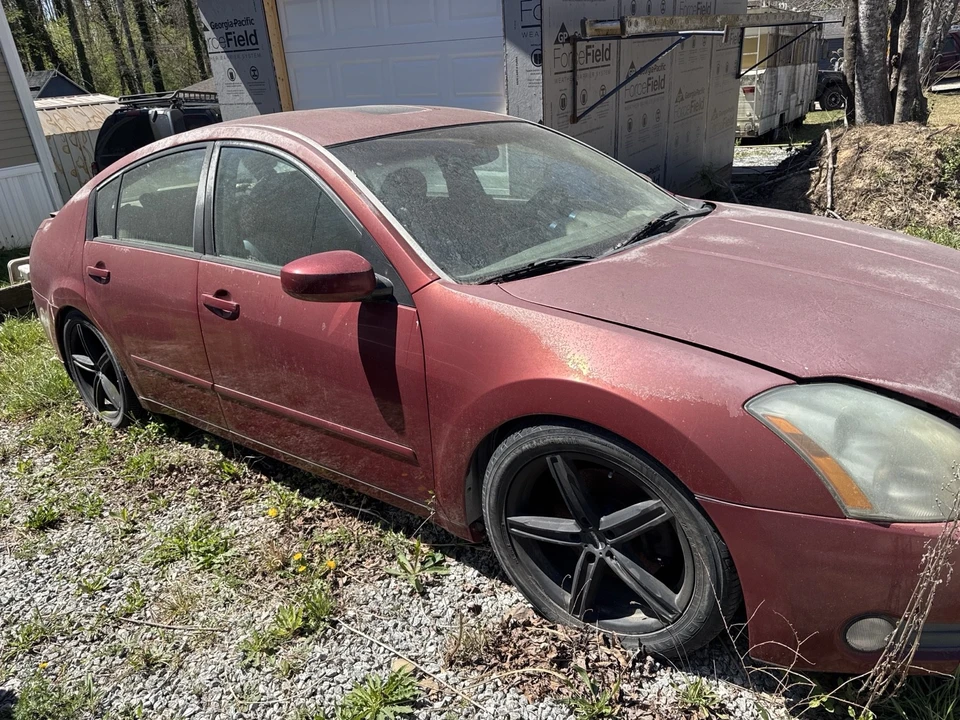 2005 Nissan Maxima 6th Gen - Image 4 of 6