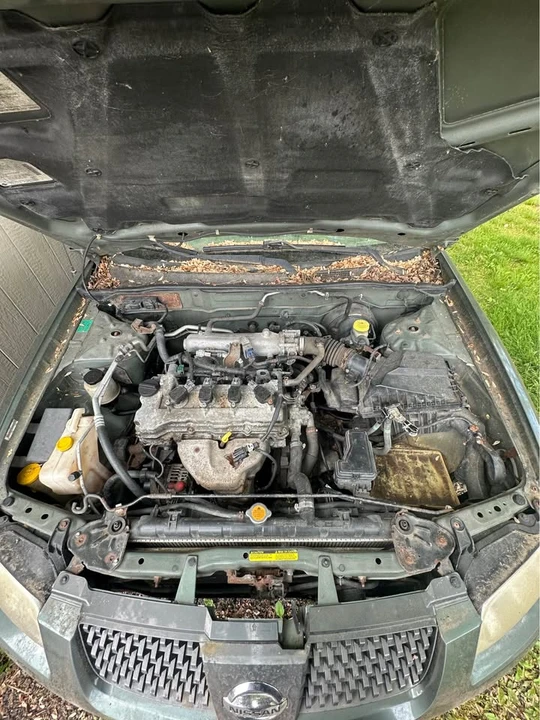 2005 Nissan Sentra 5th Gen - Image 5 of 5