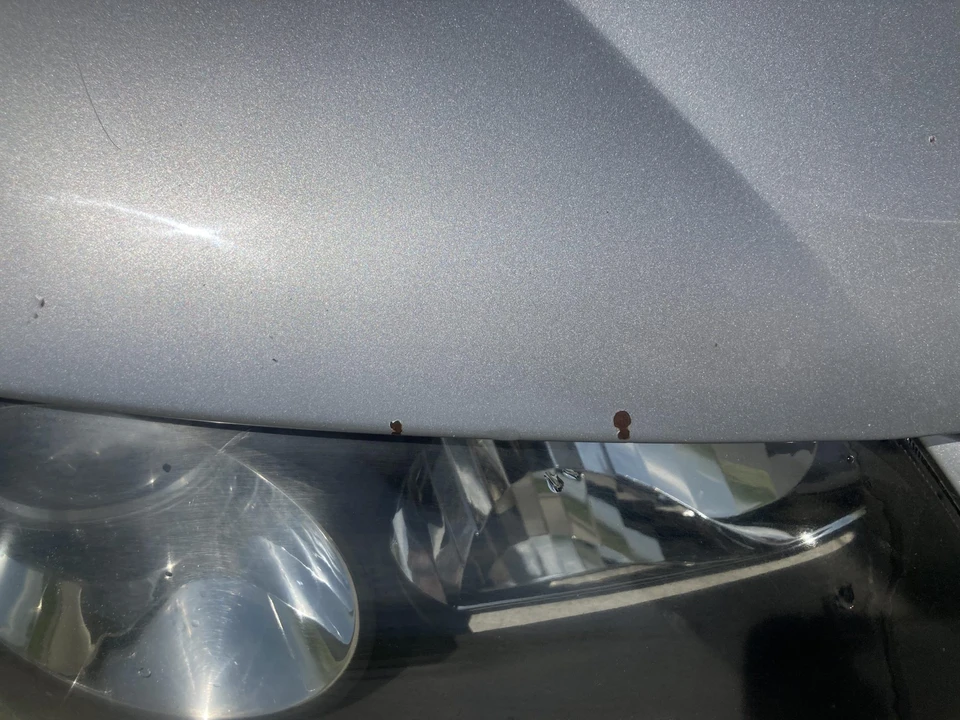 2005 Pontiac GTO 4th Gen - Image 25 of 31