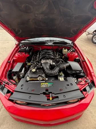 2005 Ford S197 Mustang - Image 7 of 16