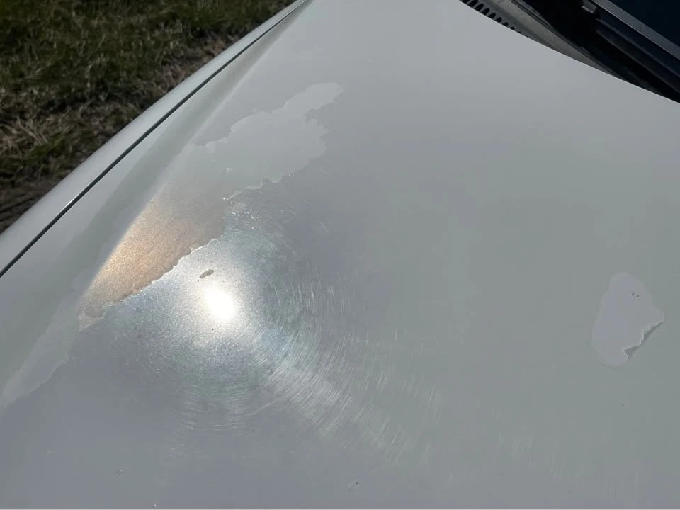2005 Scion tC - Image 18 of 19