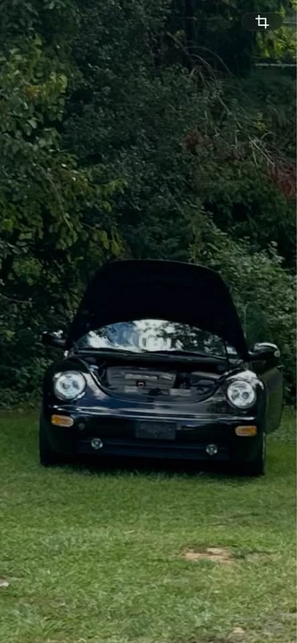 2005 Volkswagen New Beetle - Image 5 of 5