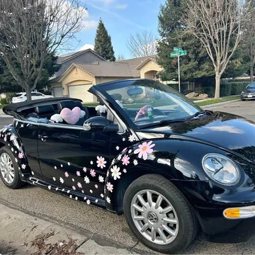 2005 Volkswagen Beetle 2.0T S Convertible