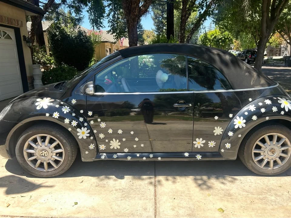 2005 Volkswagen New Beetle - Image 2 of 10