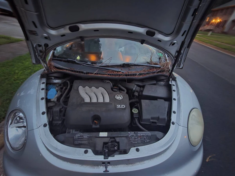 2005 Volkswagen New Beetle - Image 4 of 9