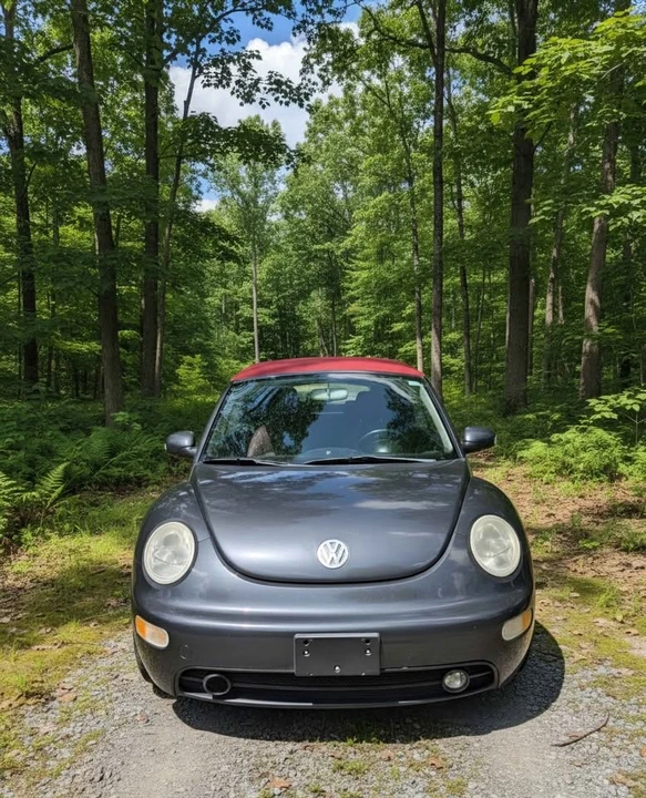 2005 Volkswagen New Beetle - Image 6 of 14
