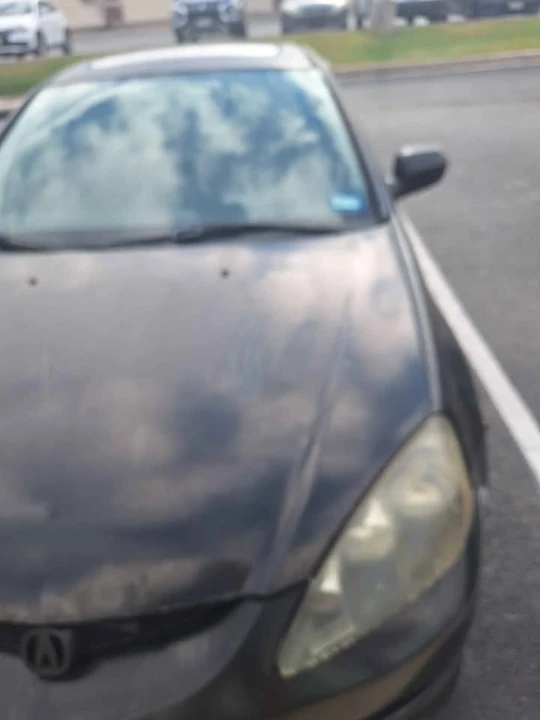 2005 Acura RSX - Image 8 of 8