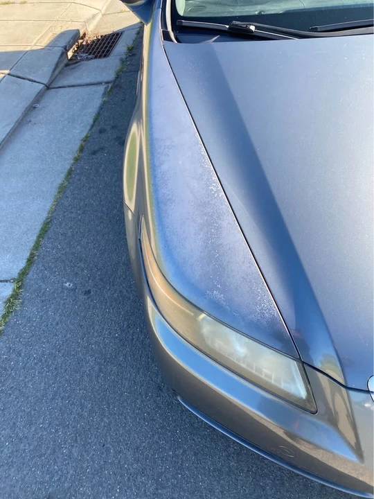 2005 Acura TL 3rd Gen - Image 4 of 9