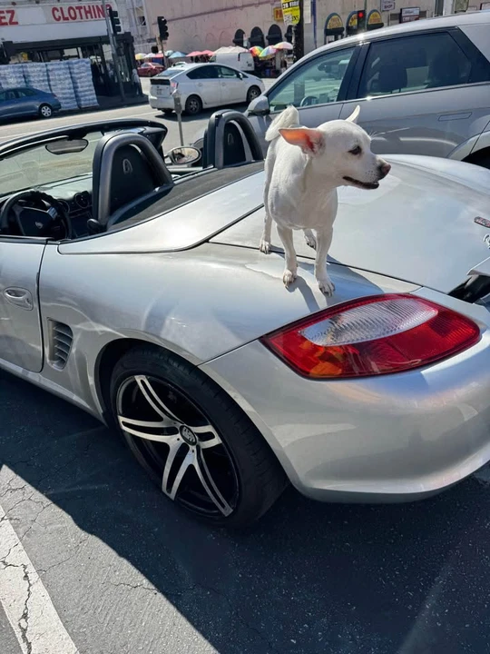 2005 Porsche 987 Boxster - Image 4 of 6
