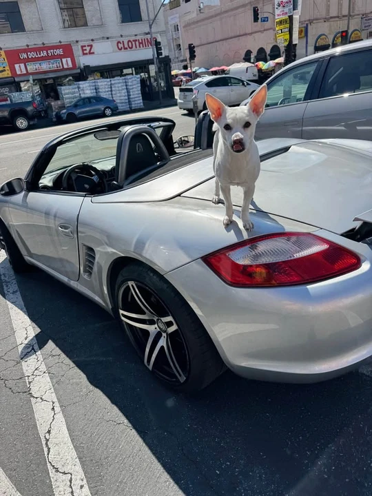 2005 Porsche 987 Boxster - Image 5 of 6