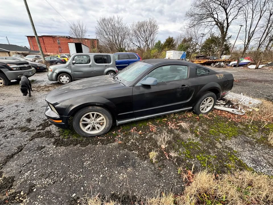 2005 Ford S197 Mustang - Image 2 of 2