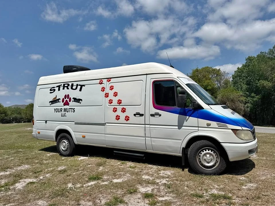 2005 Mercedes-Benz T1N Sprinter - Image 2 of 9