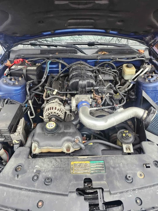2005 Ford S197 Mustang - Image 8 of 10