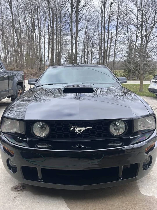 2005 Ford S197 Mustang GT - Image 2 of 9