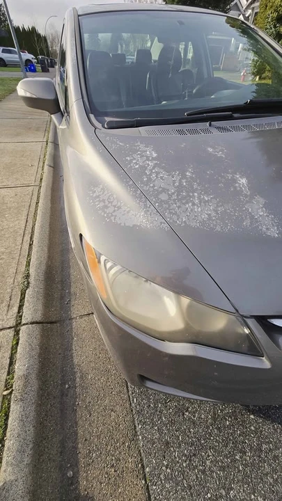 2006 Acura CL - Image 14 of 20