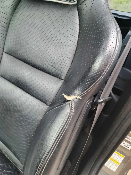 2006 Acura RSX - Image 14 of 15