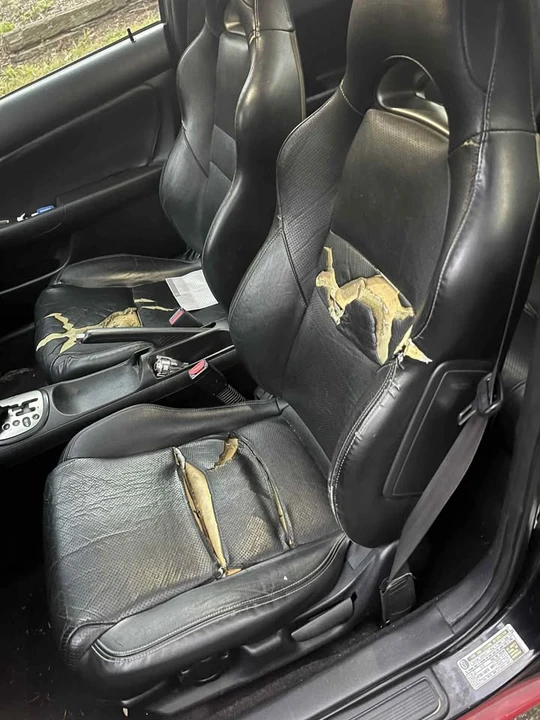 2006 Acura RSX - Image 7 of 12