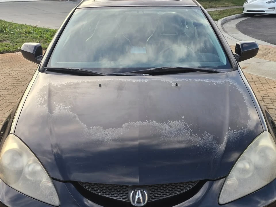 2006 Acura RSX - Image 15 of 16
