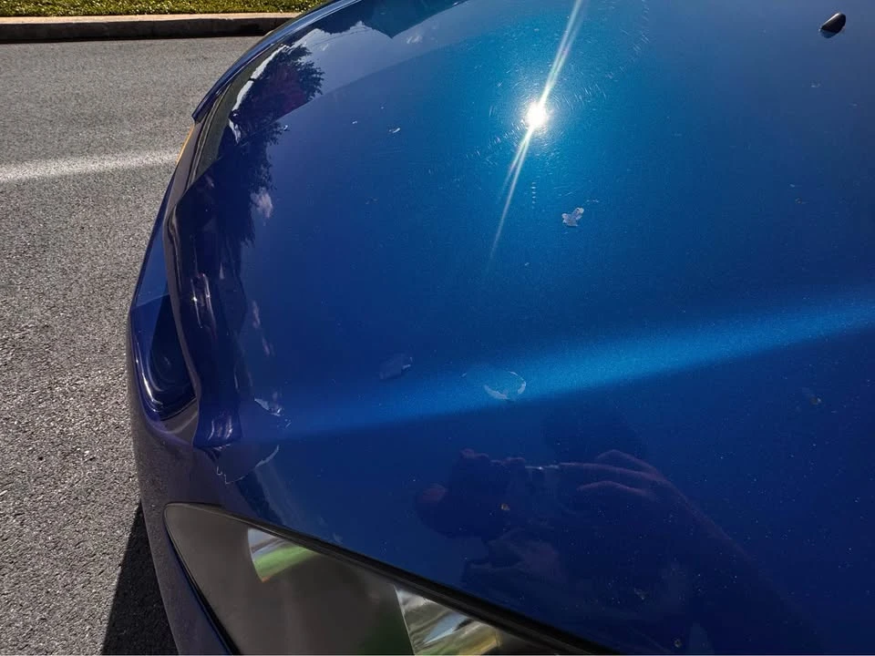 2006 Acura RSX - Image 8 of 13