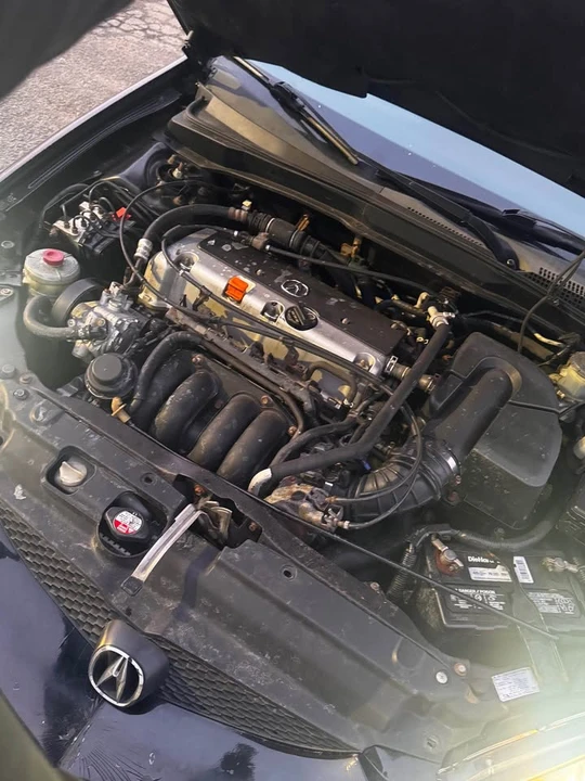 2006 Acura RSX - Image 8 of 8