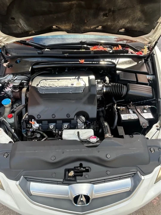 2006 Acura TL 3rd Gen - Image 9 of 12